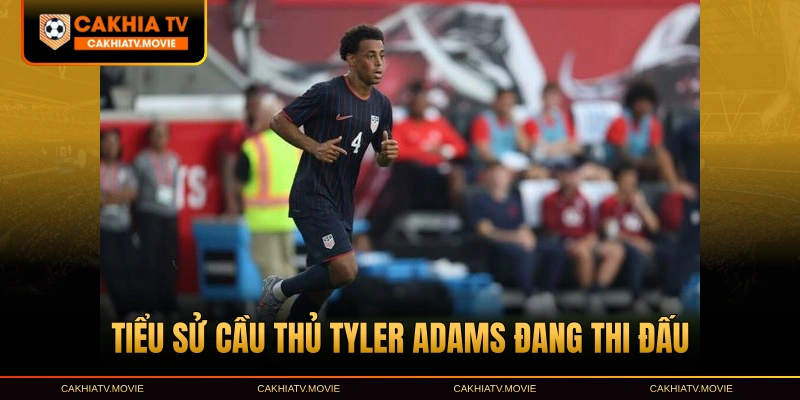 Tiểu sử cầu thủ Tyler Adams đang thi đấu